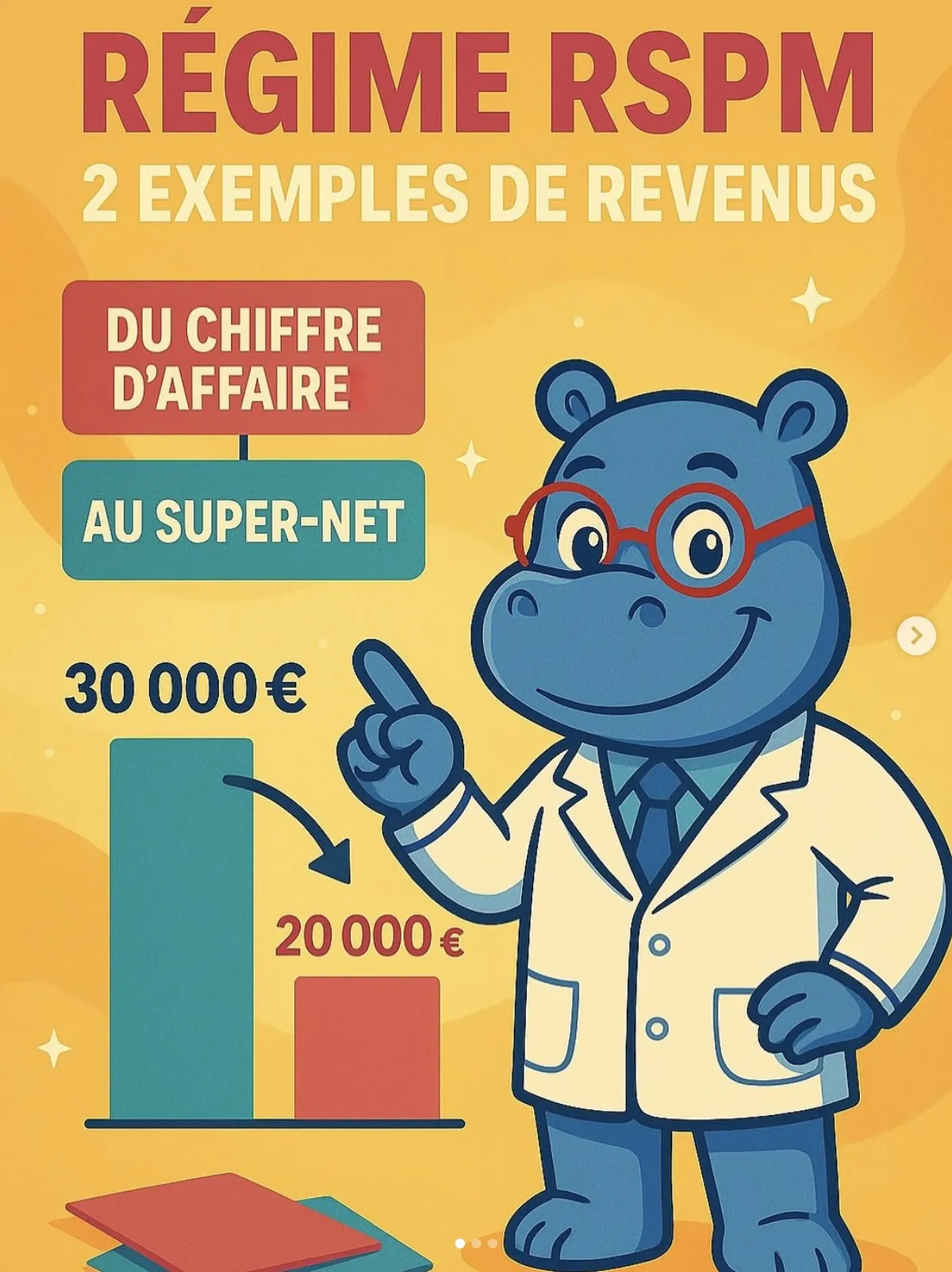 RSPM : 2 exemples concrets - Du CA au Super-Net